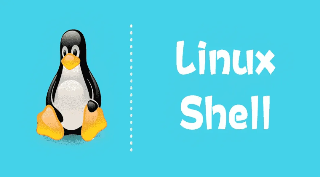 常用Linux脚本 封面图